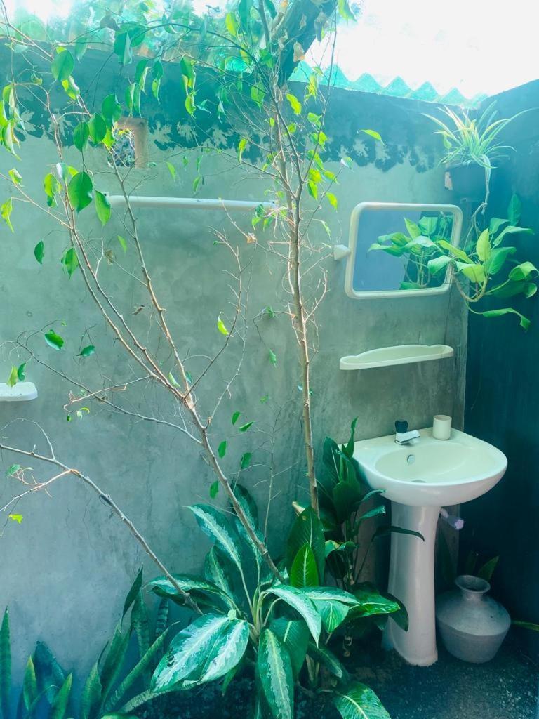 Malabar Home Stay 贾夫纳 客房 照片